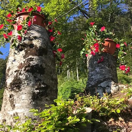 La Rosa Spina